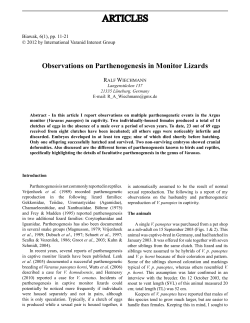 Observations on Parthenogenesis in Monitor Lizards