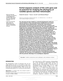 Partial sequence analysis of the actin gene and its potential for