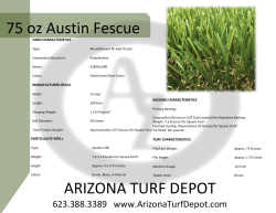 ARIZONA TURF DEPOT 75 oz Austin Fescue