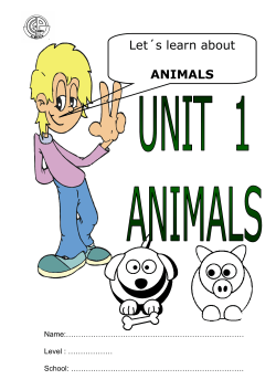 animals - CEIP Europa