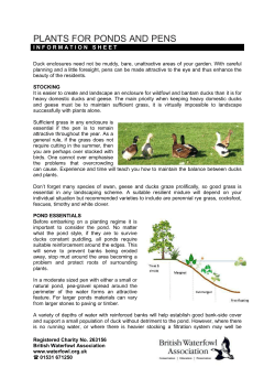 plants for ponds and pens - British Waterfowl Association