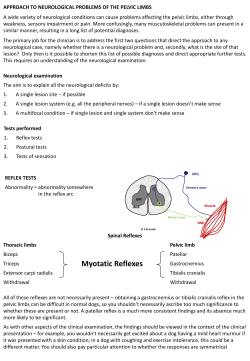 Myotatic Reflexes
