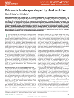 Palaeozoic landscapes shaped by plant evolution