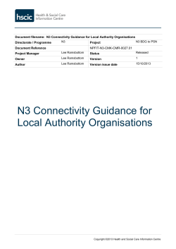 N3 Connectivity Guidance for Local Authority