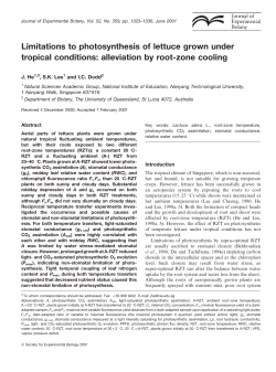 alleviation by root-zone cooling