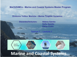 Representative Ocean Food Webs