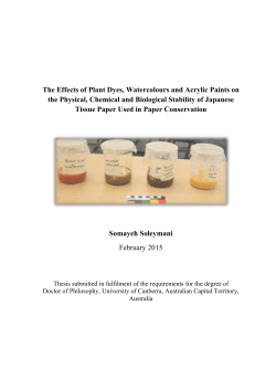 The Effects of Plant Dyes, Watercolours and Acrylic Paints on the
