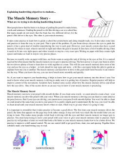 The Muscle Memory Story