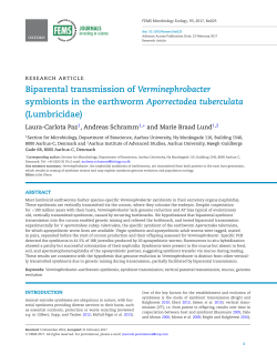 Biparental transmission of Verminephrobacter symbionts in the