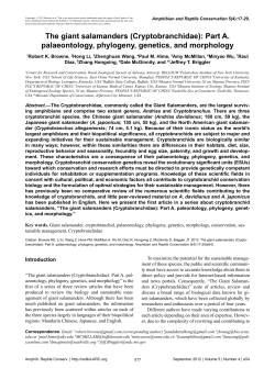The giant salamanders (Cryptobranchidae): Part A. palaeontology