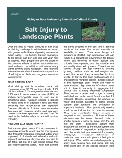 Salt Injury to Landscape Plants