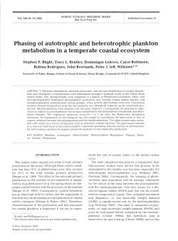 Phasing of autotrophic and heterotrophic plankton metabolism in a