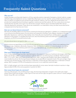 Blood Bank FAQ`s For Vets