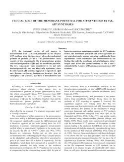Role of membrane potential in ATP synthesis