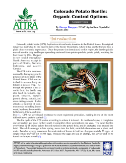 Colorado Potato Beetle: Organic Control Options - ATTRA
