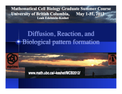 Diffusion, Reaction, and Biological pattern formation