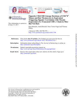 But Not Rats Chain in Mice α Expression of a Truncated CD8
