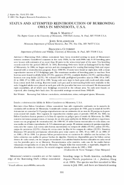 status and attempted reintroduction of burrowing owls in minnesota