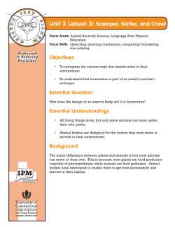 Unit 3 Lesson 3: Scamper, Skitter, and Crawl