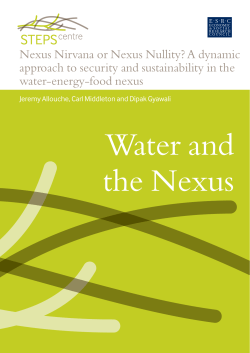 Nexus Nirvana or Nexus Nullity? A dynamic