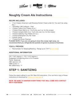 Naughty Cream Ale Instructions STEP 1: SANITIZING