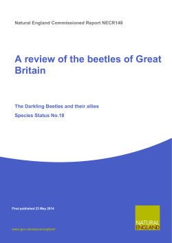 A review of the beetles of Great Britain