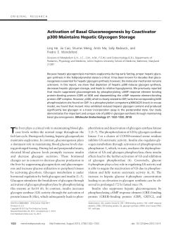 Activation of Basal Gluconeogenesis by Coactivator p300 Maintains