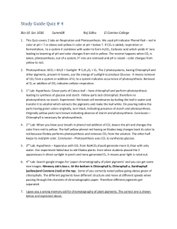 Study Guide Quiz # 4