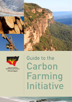 Guide to the Carbon Farming Initiative