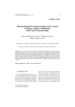 Mitochondrial DNA characterization of five species of Plebeia