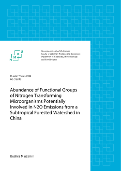 Abundance of Functional Groups of Nitrogen Transforming