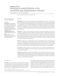 Selecting for multicellularity in the unicellular alga Chlamydomonas