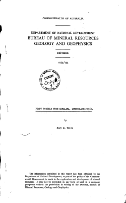 Plant Fossils from Baralaba, Queensland, 1963 (BMR Record 1964