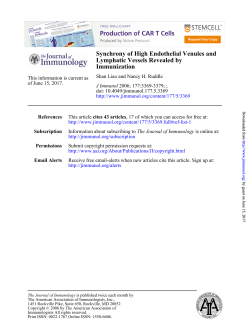 Immunization Lymphatic Vessels Revealed by Synchrony of High