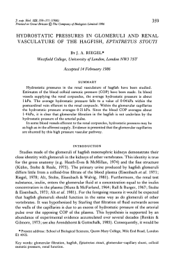 hydrostatic pressures in glomeruli and renal vasculature of the
