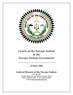 Courts of the Navajo Nation in the Navajo Nation Government