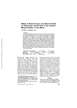 Effects of Blood Pressure and Blood Viscosity