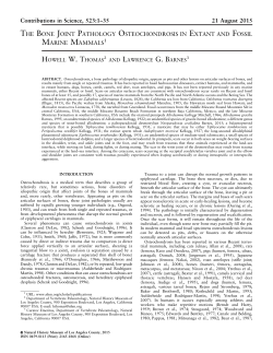 Contributions in Science, Number 523:1