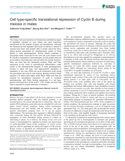 Cell type-specific translational repression of Cyclin B during meiosis