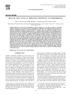 role of cell cycle in mediating sensitivity to radiotherapy timothy m