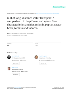 MRI of long-distance water transport: A comparison of the phloem