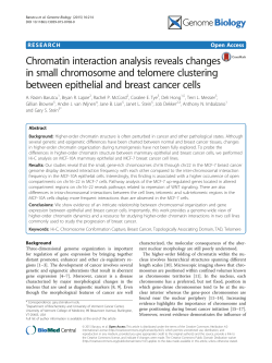 Chromatin interaction analysis reveals changes in small