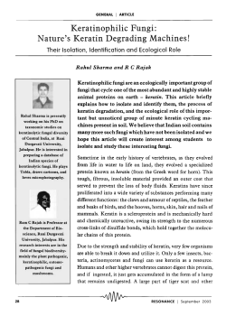 Keratinophilic Fungi: Nature`s Keratin Degrading Machines!