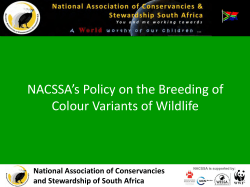 NACSSA`s Policy on the Breeding of Colour Variants of Wildlife
