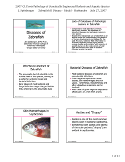 Diseases of Zebrafish