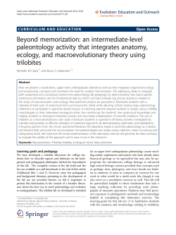 Beyond memorization: an intermediate