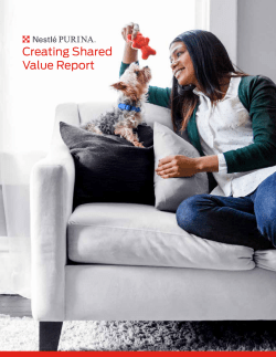 Creating Shared Value Report