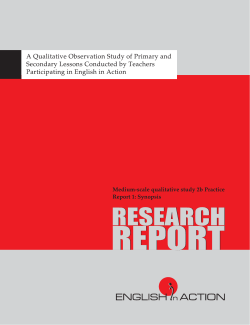A Qualitative Observation Study of Primary and