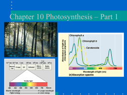 Ch. 10 Photosynthesis