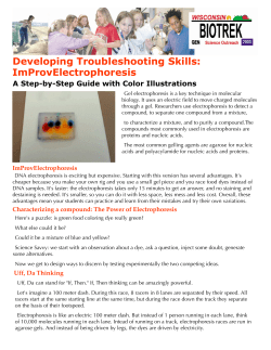 Developing Troubleshooting Skills: ImProvElectrophoresis
